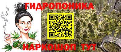 амф Новокубанск