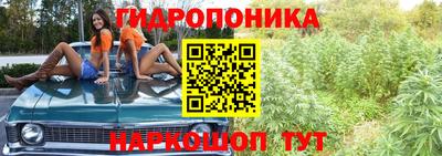 амф Новокубанск