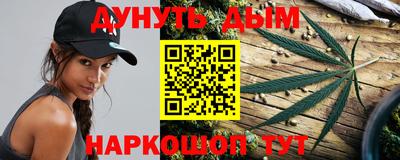 Альфа ПВП Новодвинск