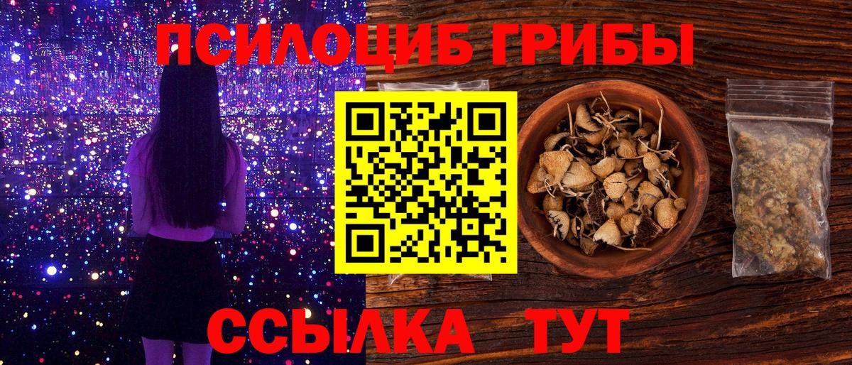 купить наркоту  Вход с VPN  Шелехов  Галлюциногенные грибы мицелий 